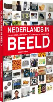 Nederlands in beeld